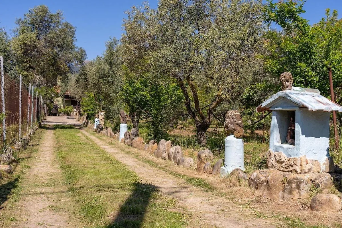 Casa Lilliu Villa Villacidro Holiday home